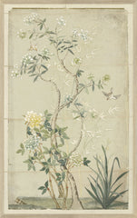 17 × 27 pulg. – Enmarcado en cristal, Tonalidad amarilla