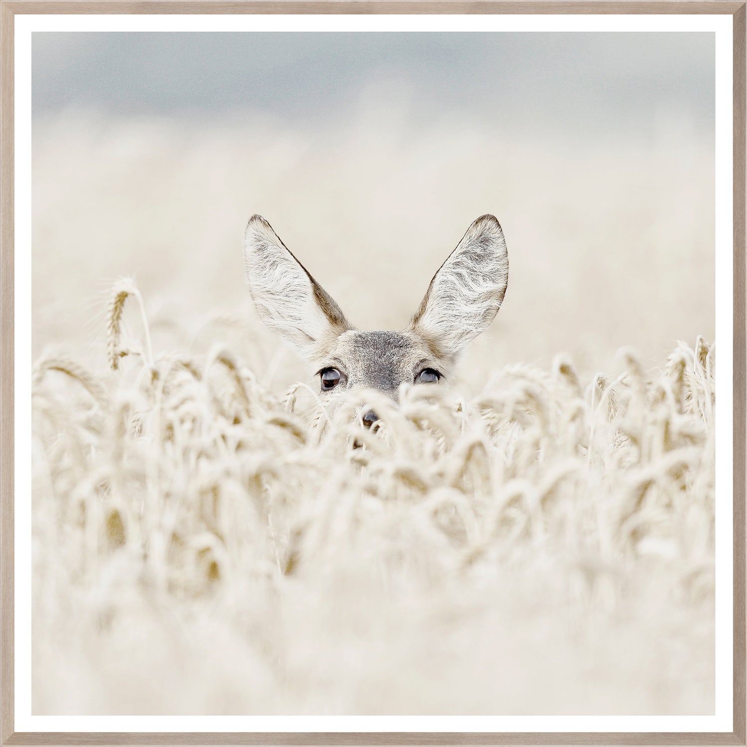 Peekaboo Deer wall art featuring a deer peeking through tall wheat grass in soft tones.