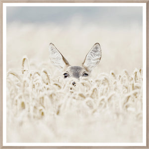 Peekaboo Deer wall art featuring a deer peeking through tall wheat grass in soft tones.