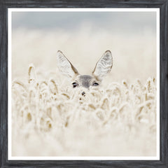 22 × 22 in – Grey Frame