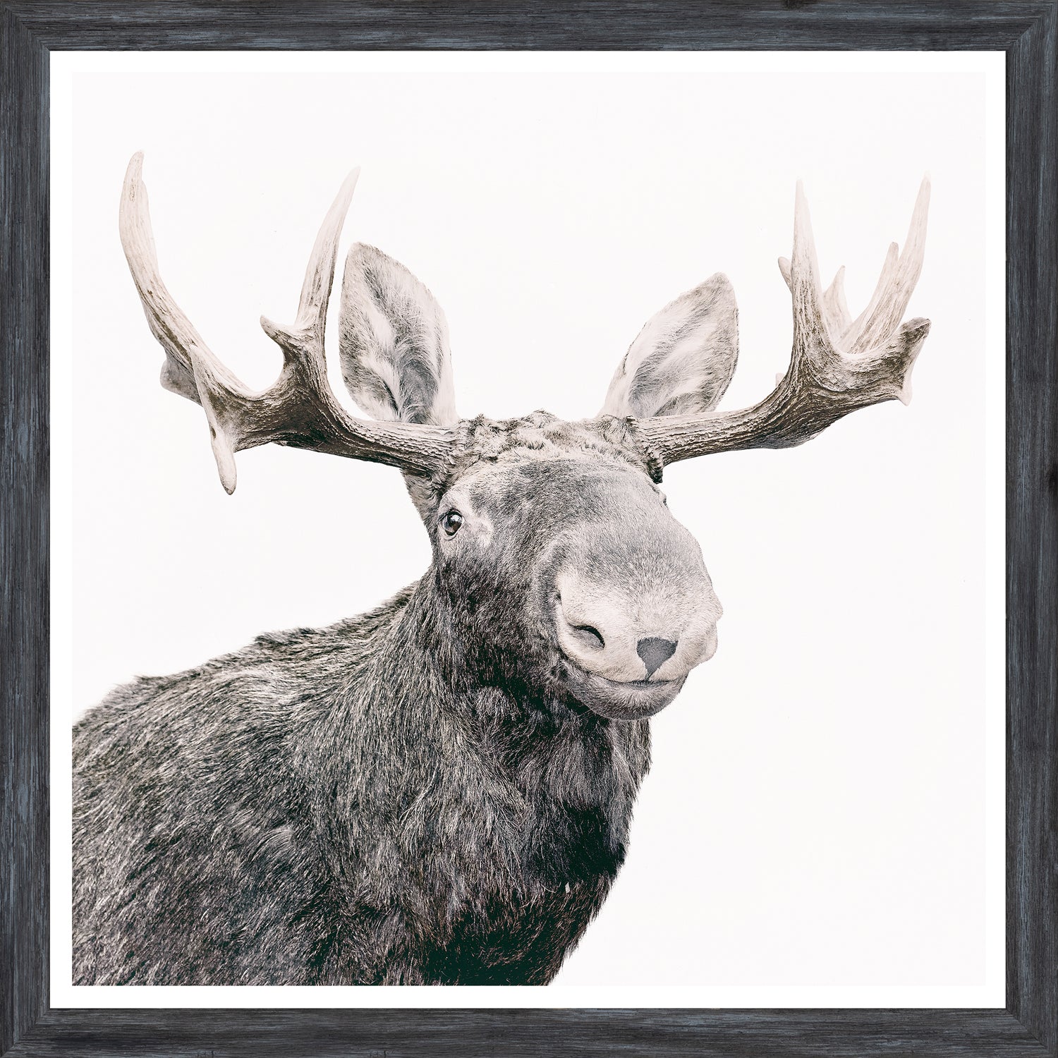 Happy Moose — nature and landscape fine art print shown from another angle