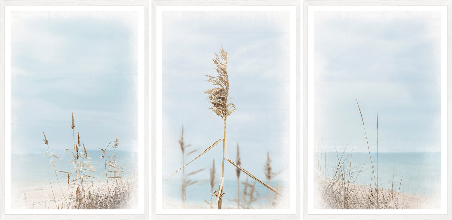 Dune Grass wall art featuring tall grass against a soft blue sky and ocean backdrop.