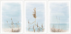 31 × 64 in – Triptych