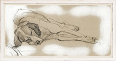 21,25 × 11,25 pulg.