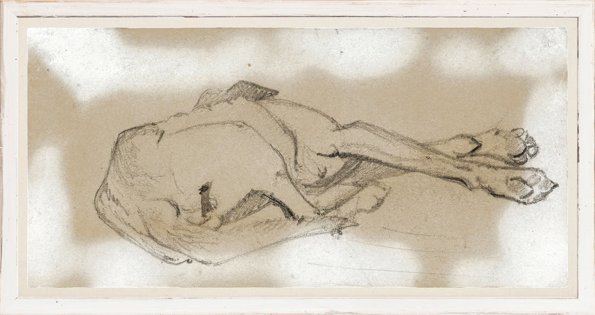 Study of a Sleeping Dog II wall art featuring a sketch of a curled dog on textured beige background.