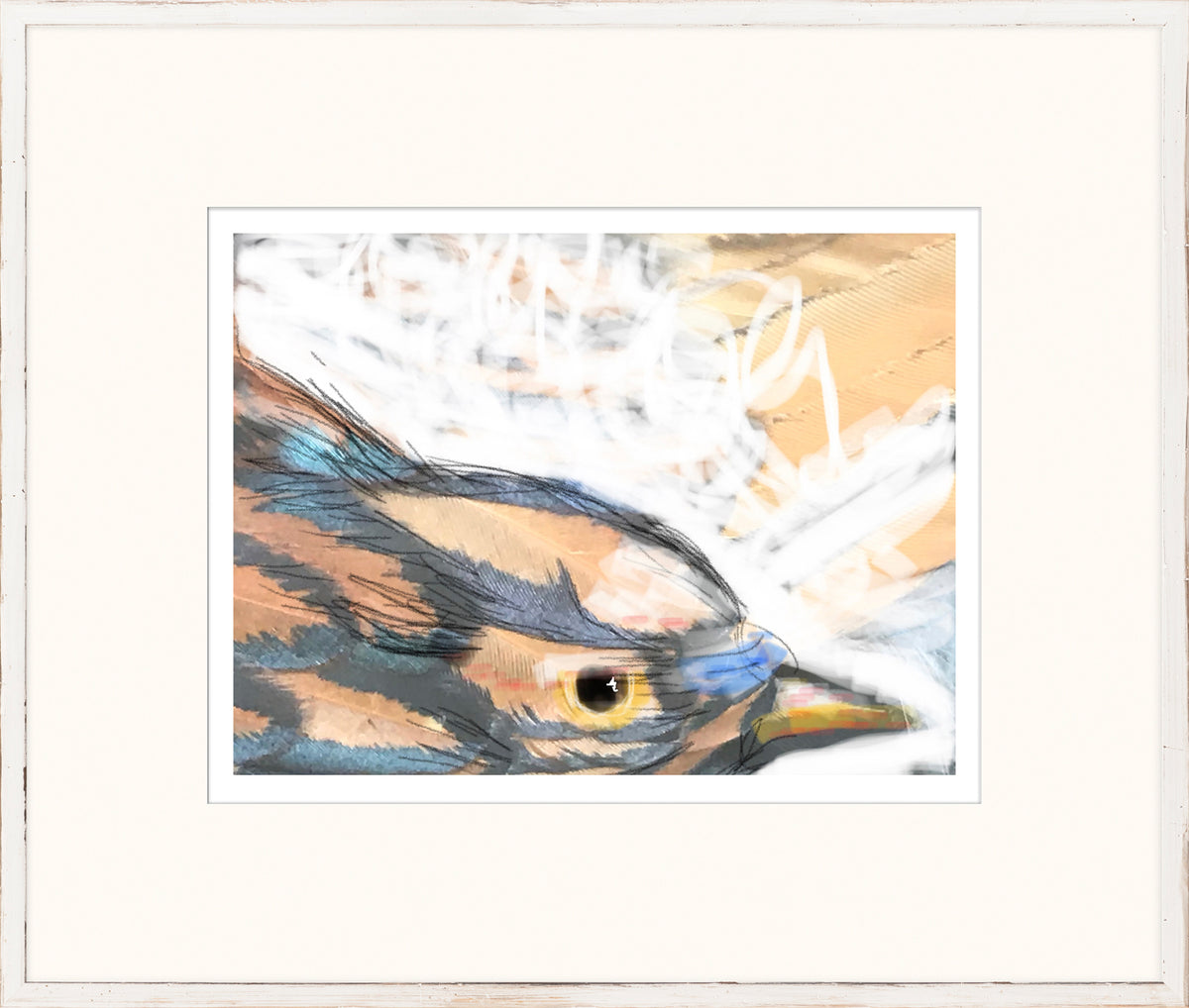 The Hidden Series IX wall art featuring a close-up of a bird's head with vibrant colors.