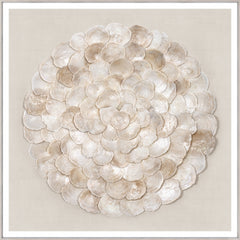 41 × 41 pulg.