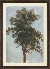 Small (11.25 × 15.25 in)