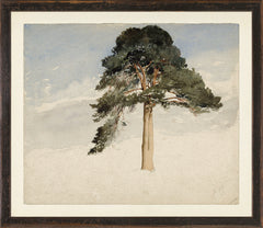 Small ( 15.25 × 13.25 in)