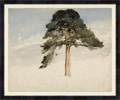 Large (23.75 × 19.75 in)