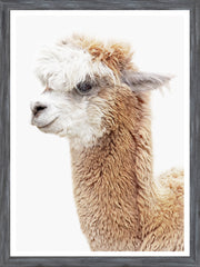 18 × 24 in – Grey Frame