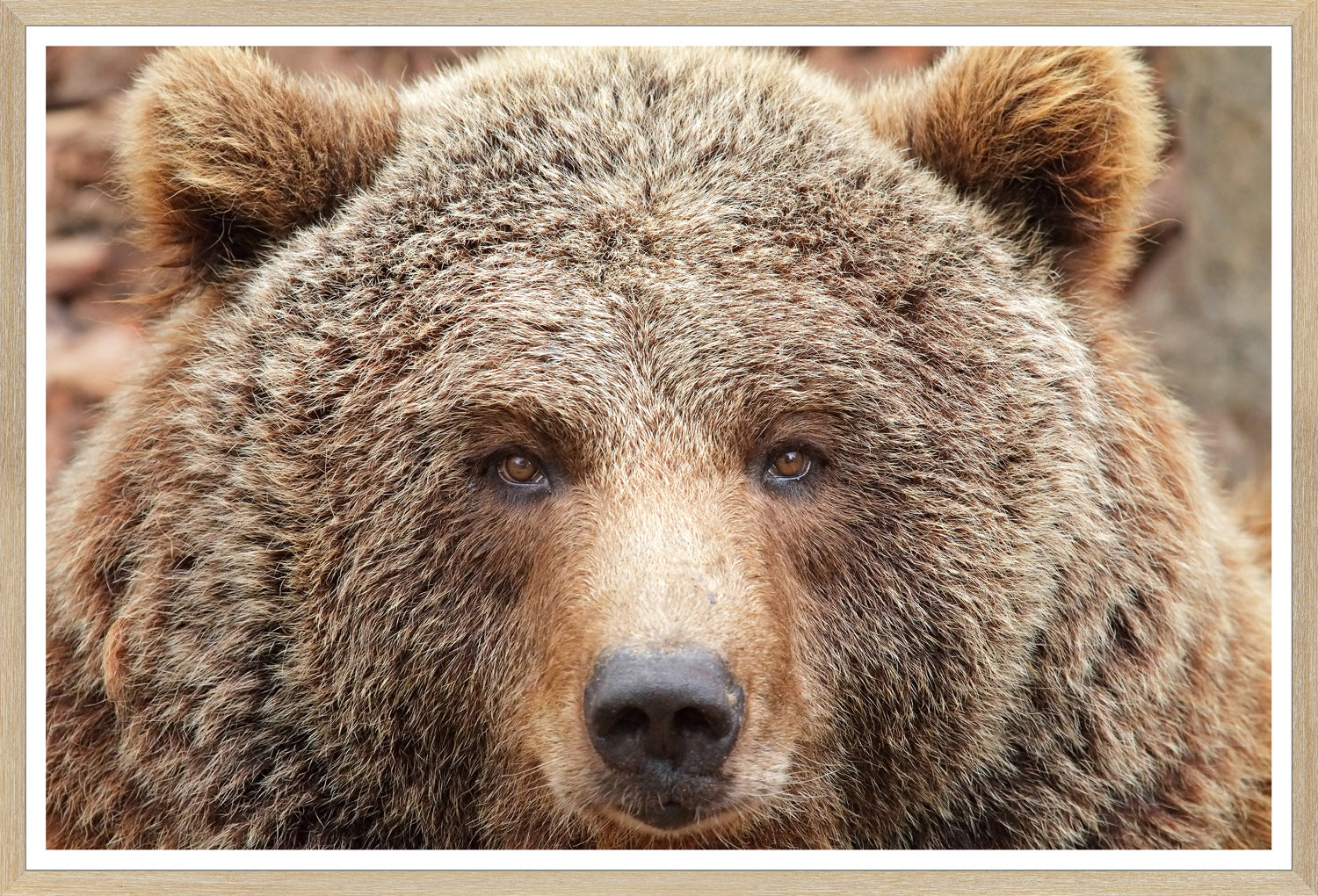 Natural Bear Family Trio Bundle