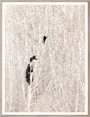 33.5 × 43.5 in – Marco natural