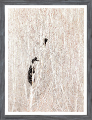 17 × 22 in – Marco gris