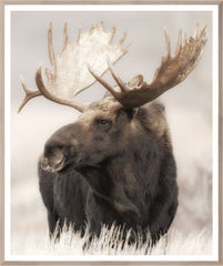 36.5 × 43.5 in – Glass Framed, Natural Frame