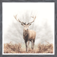 22 × 22 in – Grey Frame