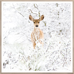 41.5 × 41.5 in – Natural Frame