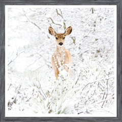 22 × 22 in – Grey Frame