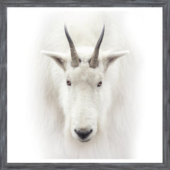 22 × 22 pulg. – Marco Gris