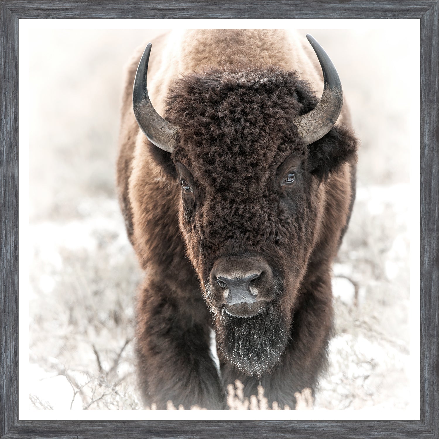 Bison in the Tetons — nature and landscape fine art print shown from another angle