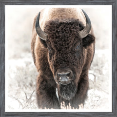 22 × 22 in – Grey Frame