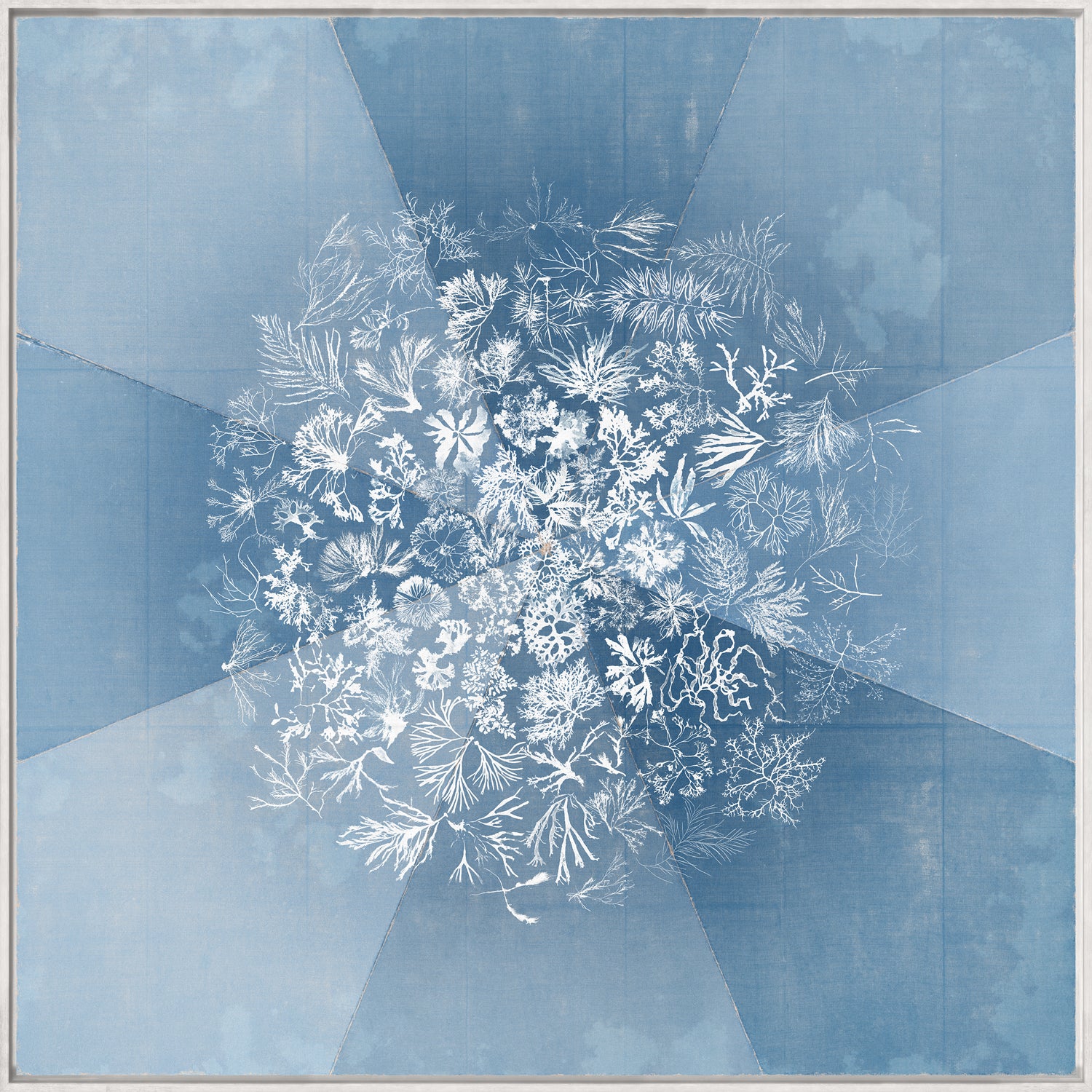 Sea Tangle — nature and landscape fine art print shown from another angle
