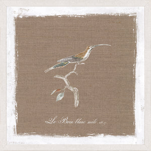 Oiseau Sur Lin II — nature and landscape fine art print in neutral tones at Laurie Yapp Home