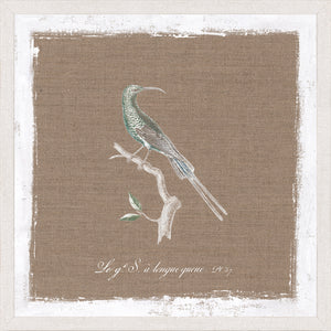 Oiseau Sur Lin IV — nature and landscape fine art print in neutral tones at Laurie Yapp Home