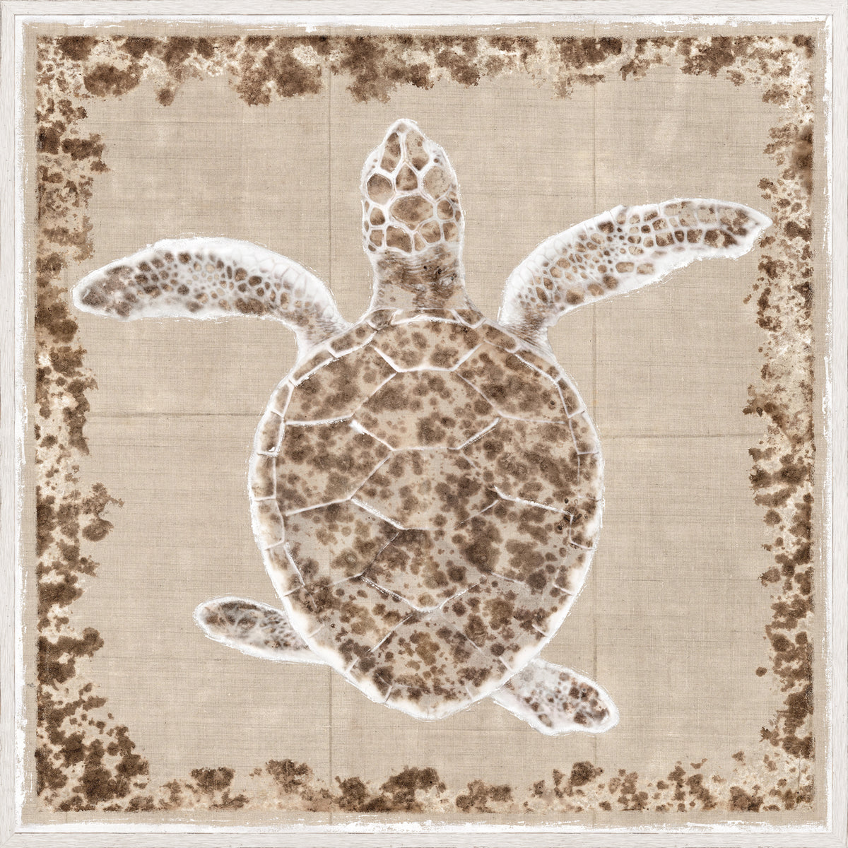 Sea Turtle I wall art featuring a brown and white turtle design on a beige background