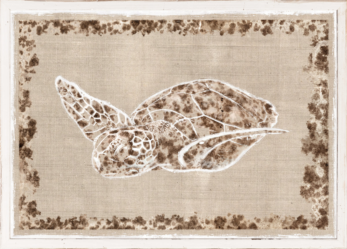 Sea Turtle III wall art featuring a brown and white turtle design on a beige background