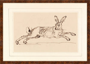 Collection 23 Animal Sketches Trio Bundle
