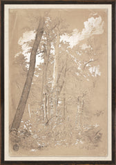 12.25 × 17.25 in