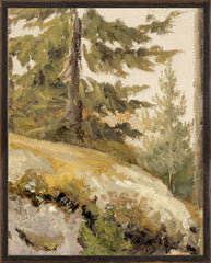 9.25 × 13.25 in
