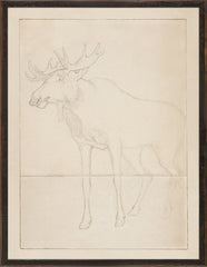 11.25 × 14.25 in