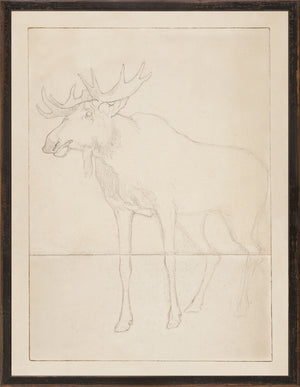 Northern Collection Moose Sketch C 1858 framed art print