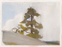21.25 × 16.25 in