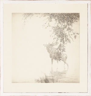 Northern Collection Shadows On The Agawa C 1889 framed art print