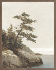 9 × 11 in