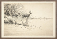 19 × 13 in