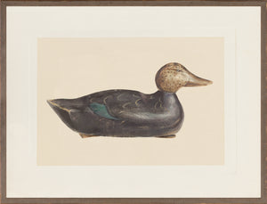 Northern Collection Decoy C 1940 framed art print