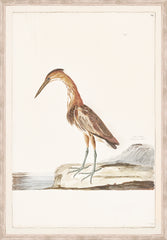 16 × 23 in