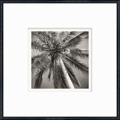 Small Photograph + White Borders (Frame Size 16.75 × 16.75 in)