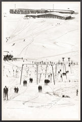 29 × 43 in