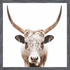 22 × 22 pulg. – Marco Gris