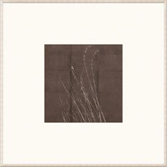 20.75 × 20.75 in – Matted