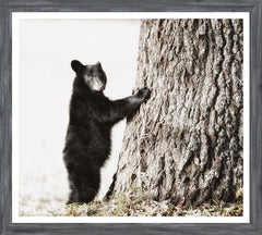 18 × 20 in – Grey Frame