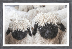 15 × 22 in – Grey Frame