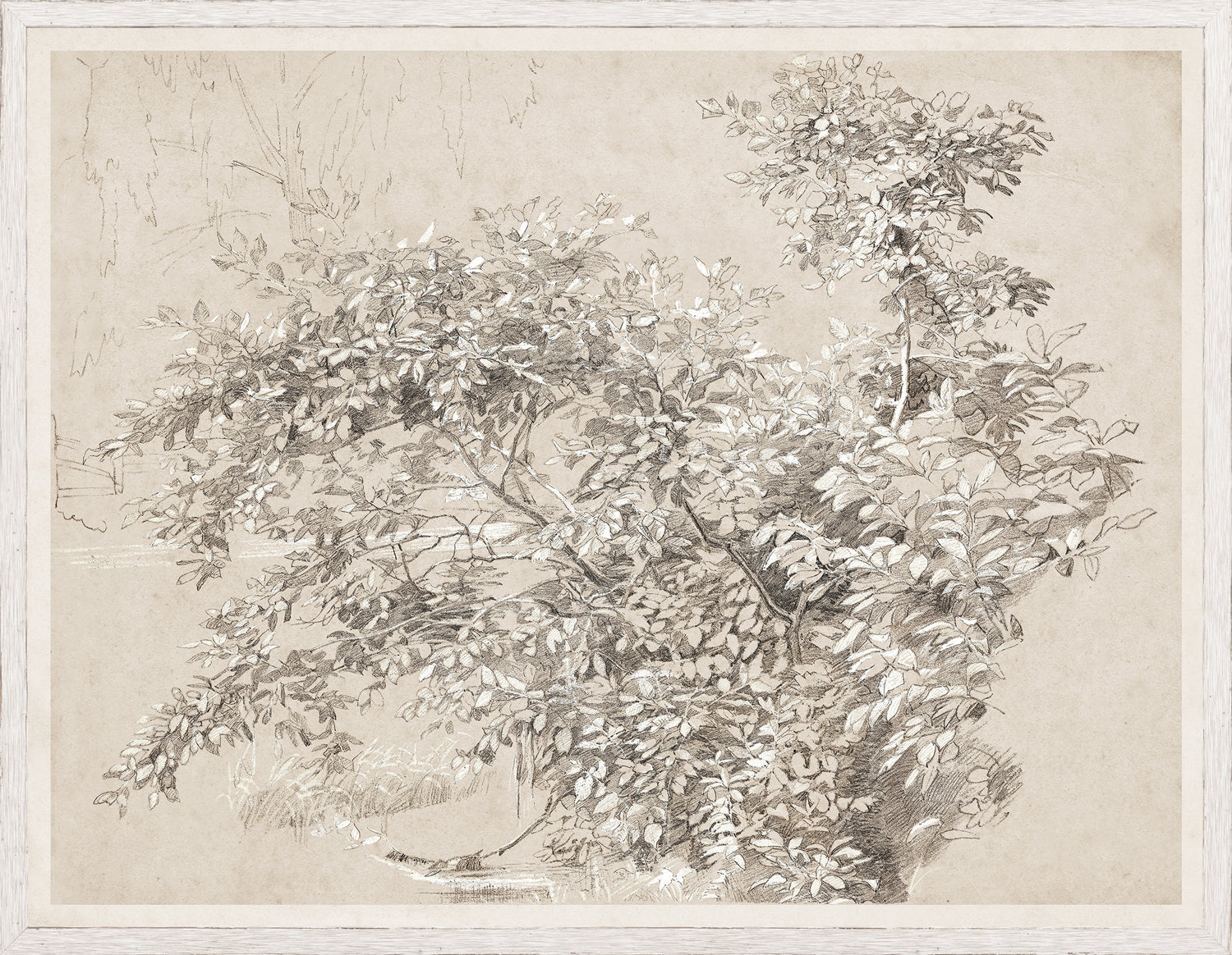 Graphite Gouache Study C 1890 framed art print