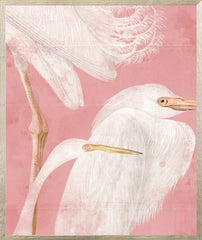 21 × 25 in – Glass Framed