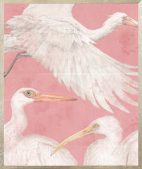 21 × 25 in – Glass Framed